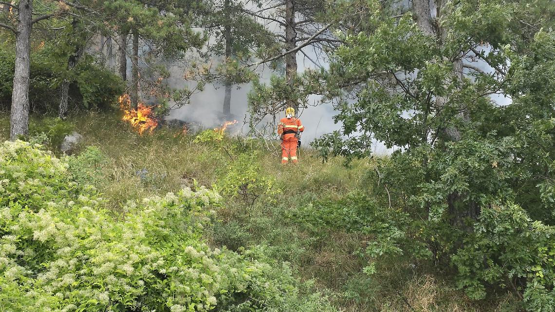 Ancora fiamme alla viglia di Ferragosto: soccorsi al lavoro