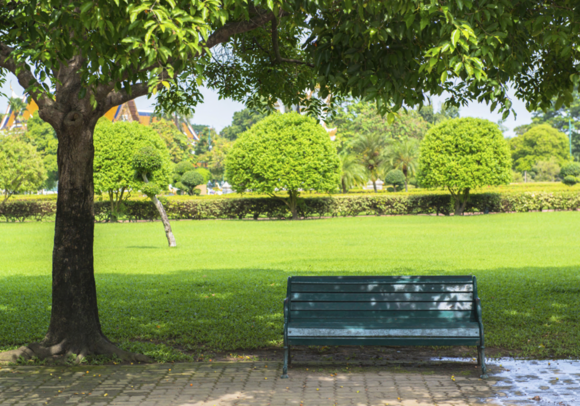 “Un parco urbano nell’area del nuovo stadio”