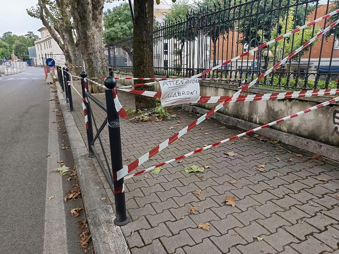 Allarme calabroni lungo la "passeggiata"
