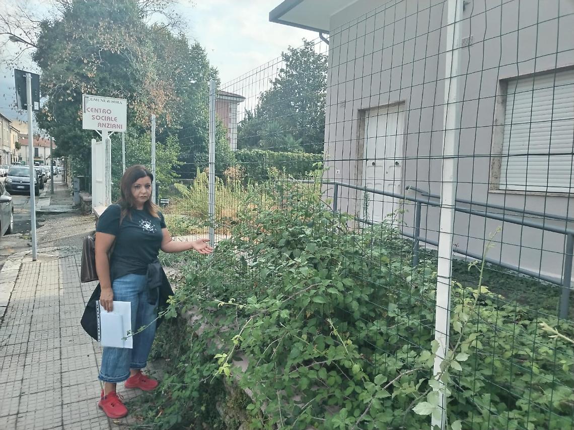 Erbacce e rovi insidiosi, degrado in via Firenze