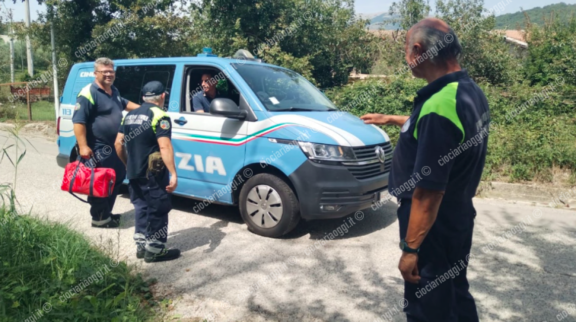 Resti umani in un campo. Si attendono i risultati  del Dna