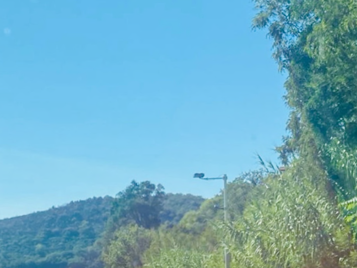 A 200 km/h in superstrada. E incolpa il suocero novantenne