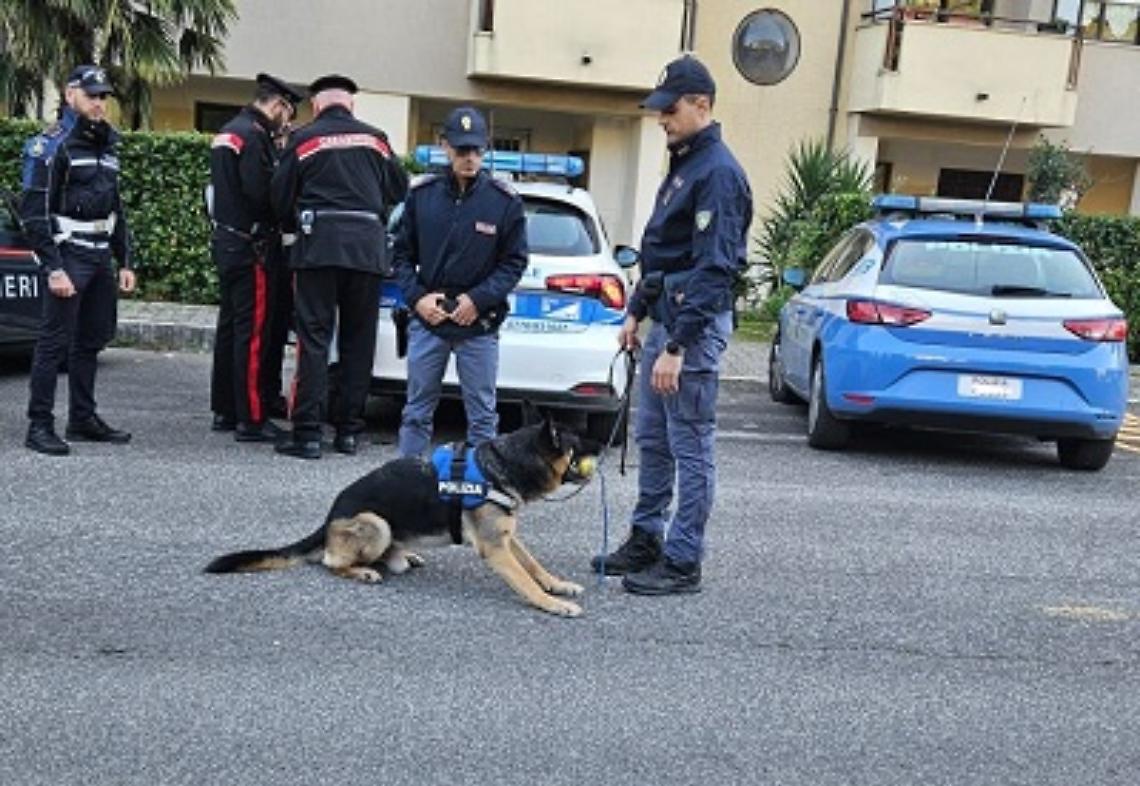 polizia e carabinieri unità cinofile