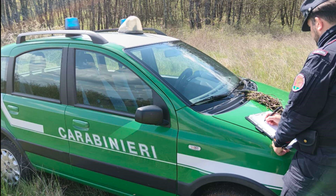 Rifiuti abbandonati. Sessantenne denunciato