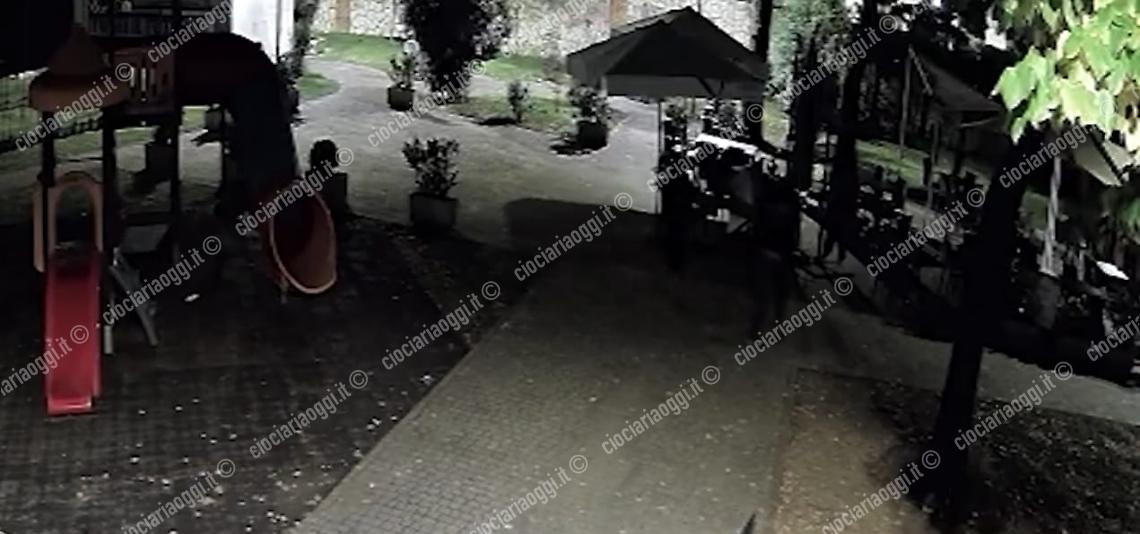 Vandali al parco Baden Powell: quattro giovani ripresi dalle telecamere