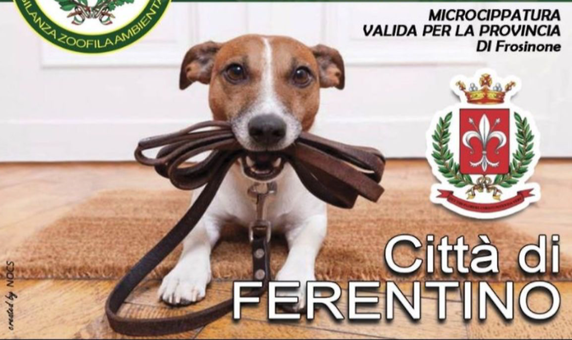 Microchip gratis contro l’abbandono dei cani,  al via la campagna