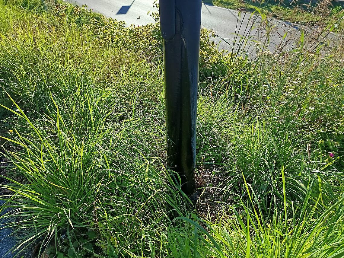Acqua da un palo... della luce: lo strano fenomeno di via Calzatora 