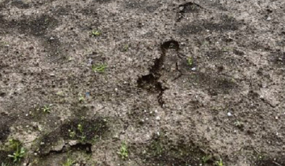 Ladri in azione: furti ripresi dalle telecamere