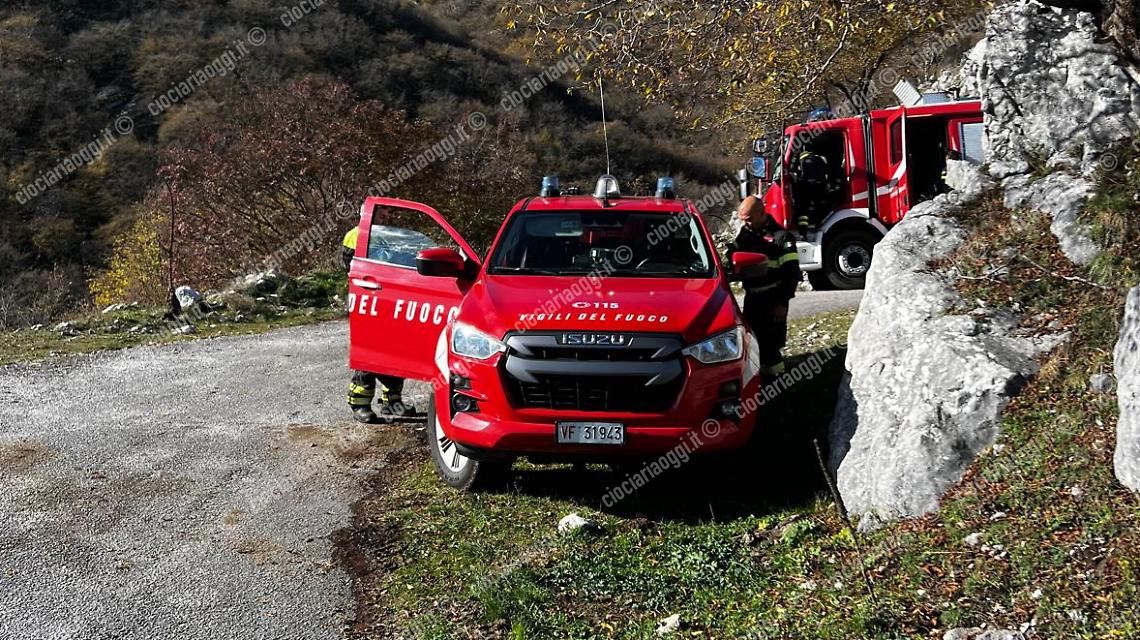 Mucca cade in un dirupo. Recuperata dai vigli del fuoco 