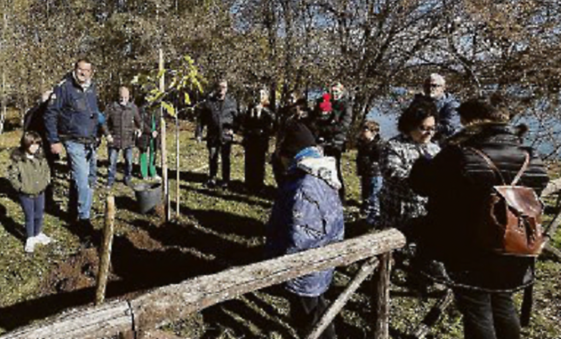 I volontari festeggiano gli alberi e piantano cinque nuovi castagni