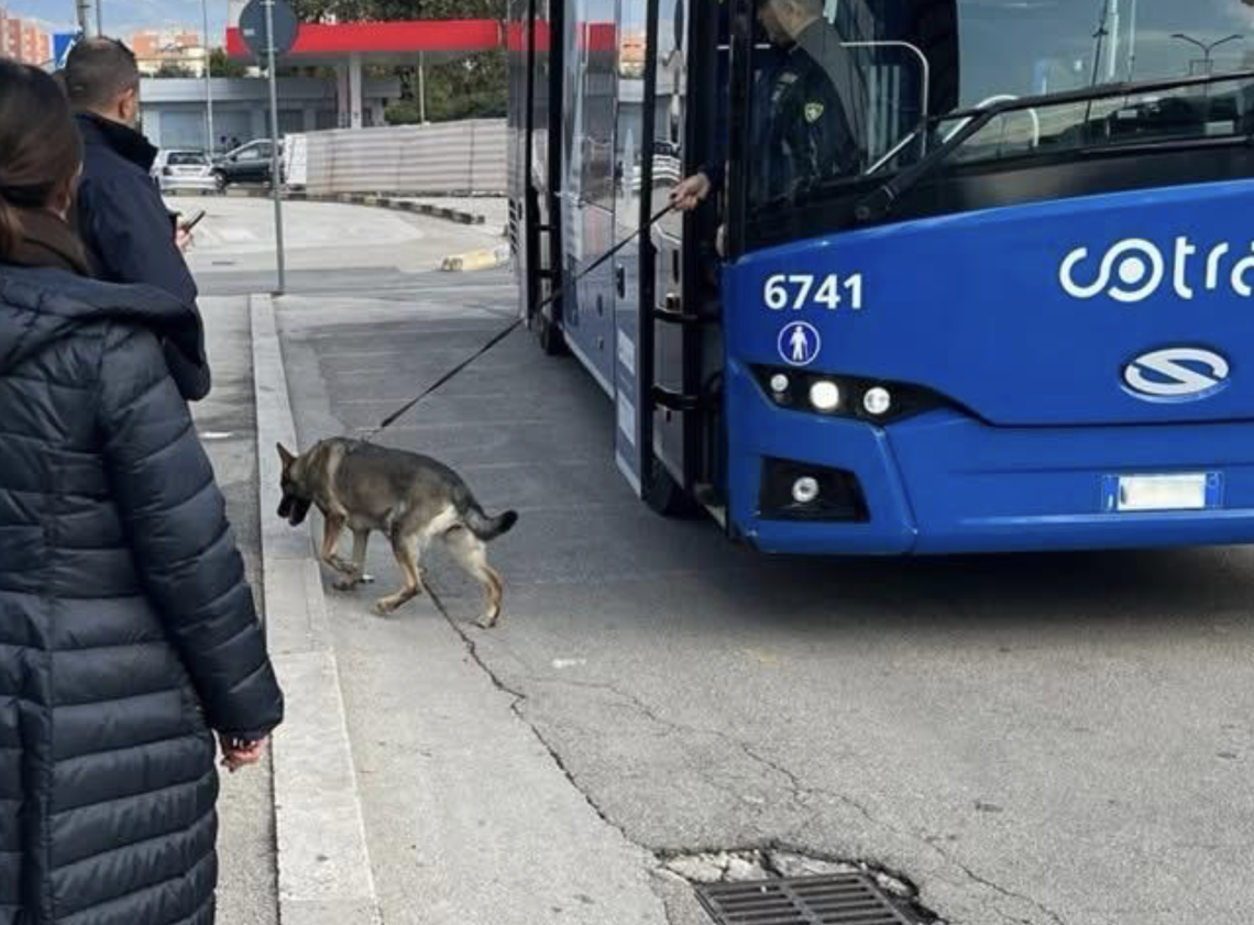 Controlli nelle scuole, trovati 10 grammi di hashish
