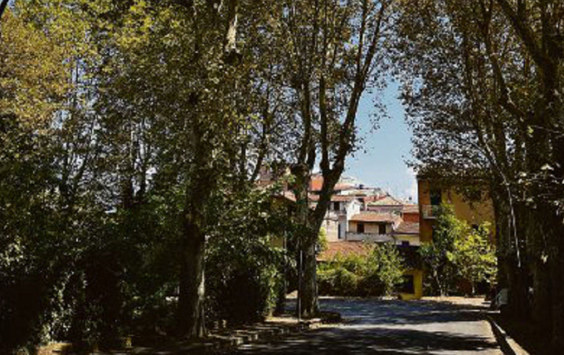 Per la tutela dell'alberata c'&egrave; il Politecnico di Milano 