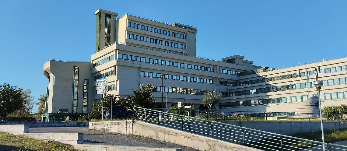 Capretta presa a calci, archiviazione per tutti