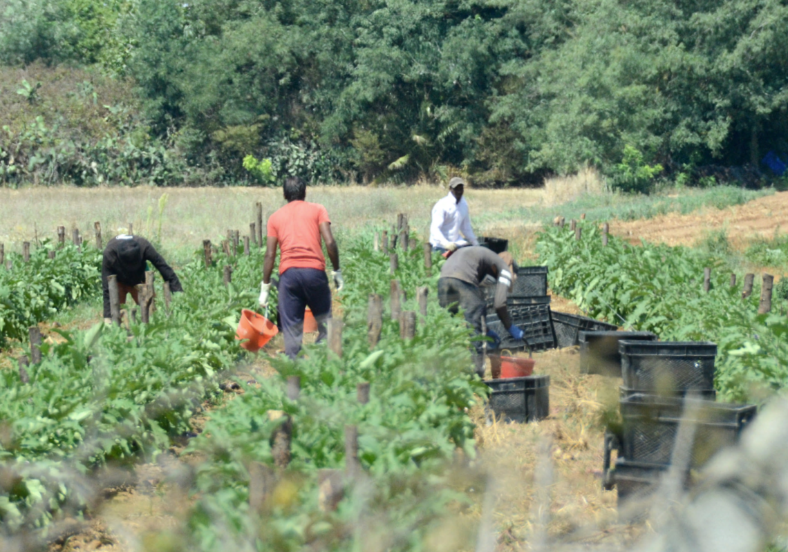 Immigrati, numeri in crescita