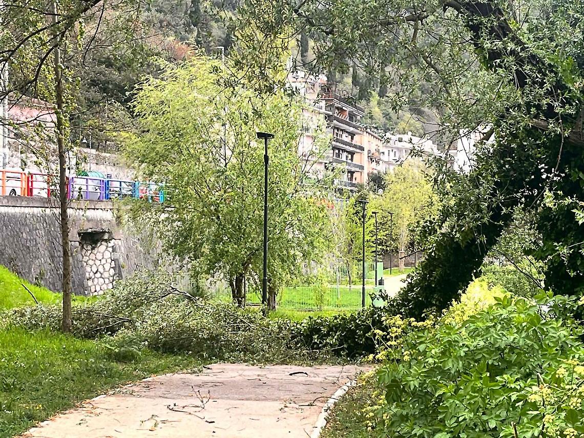 Vento forte, caduto un grosso ramo nella villa comunale