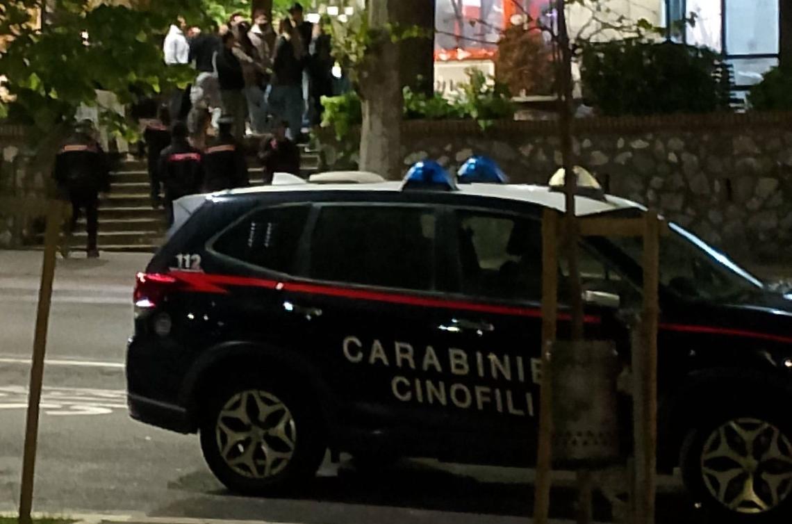 Controlli straordinari dei carabinieri, fioccano denunce e sanzioni