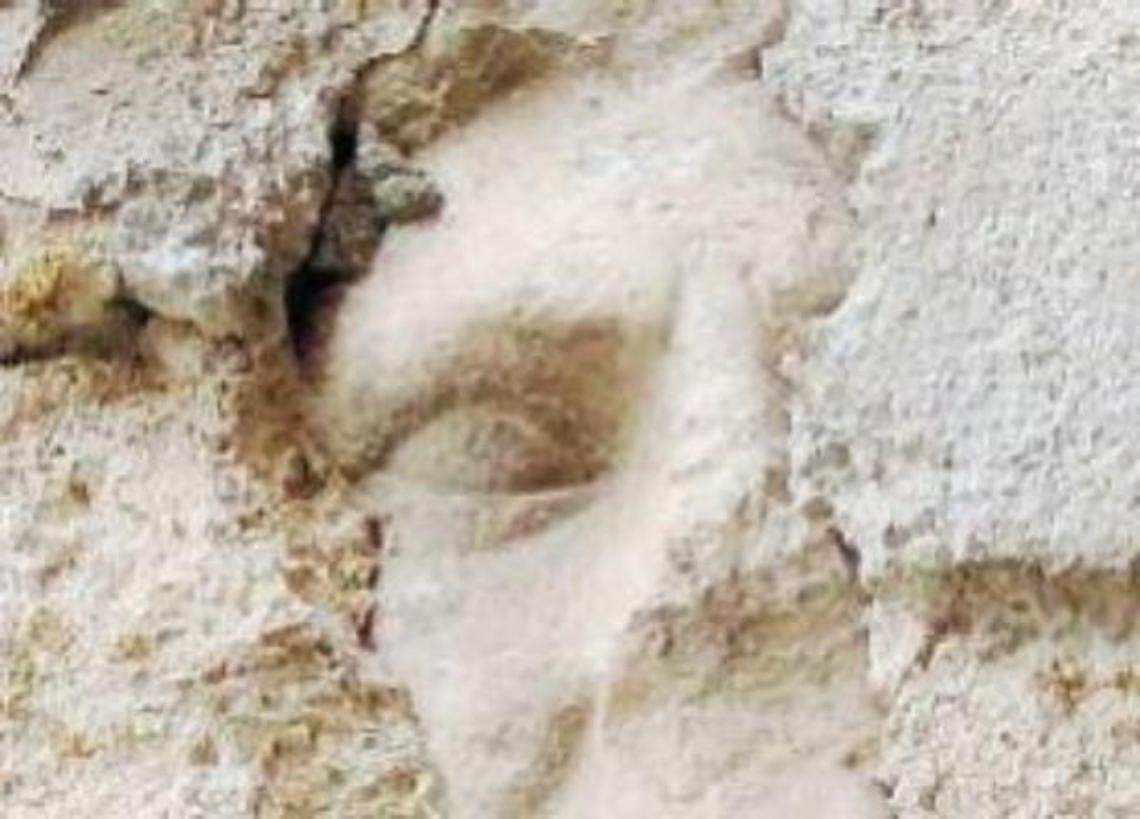 Ferentino, scultura sotto l'intonaco: è mistero. Si scatenano le ipotesi