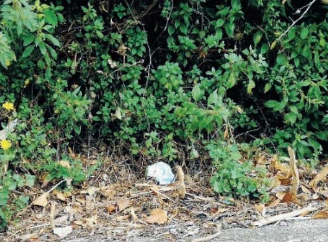 Fase due, tornano "liberi" anche i vandali: quel che resta di una notte brava
