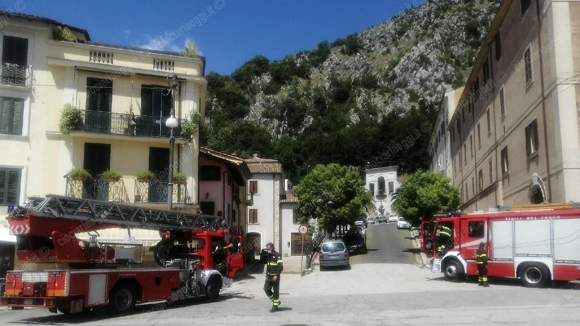 Nido di calabroni in pieno centro spaventa i residenti: intervento di rimozione