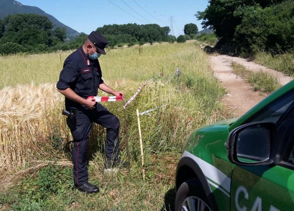 Ferentino, scoperte coltivazioni su terreni inquinati: scatta la denuncia