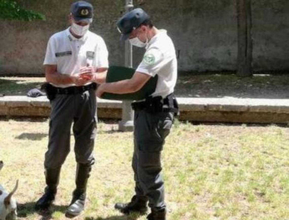 Lotta al randagismo e a chi sporca: subito in azione i volontari della "Kronos"