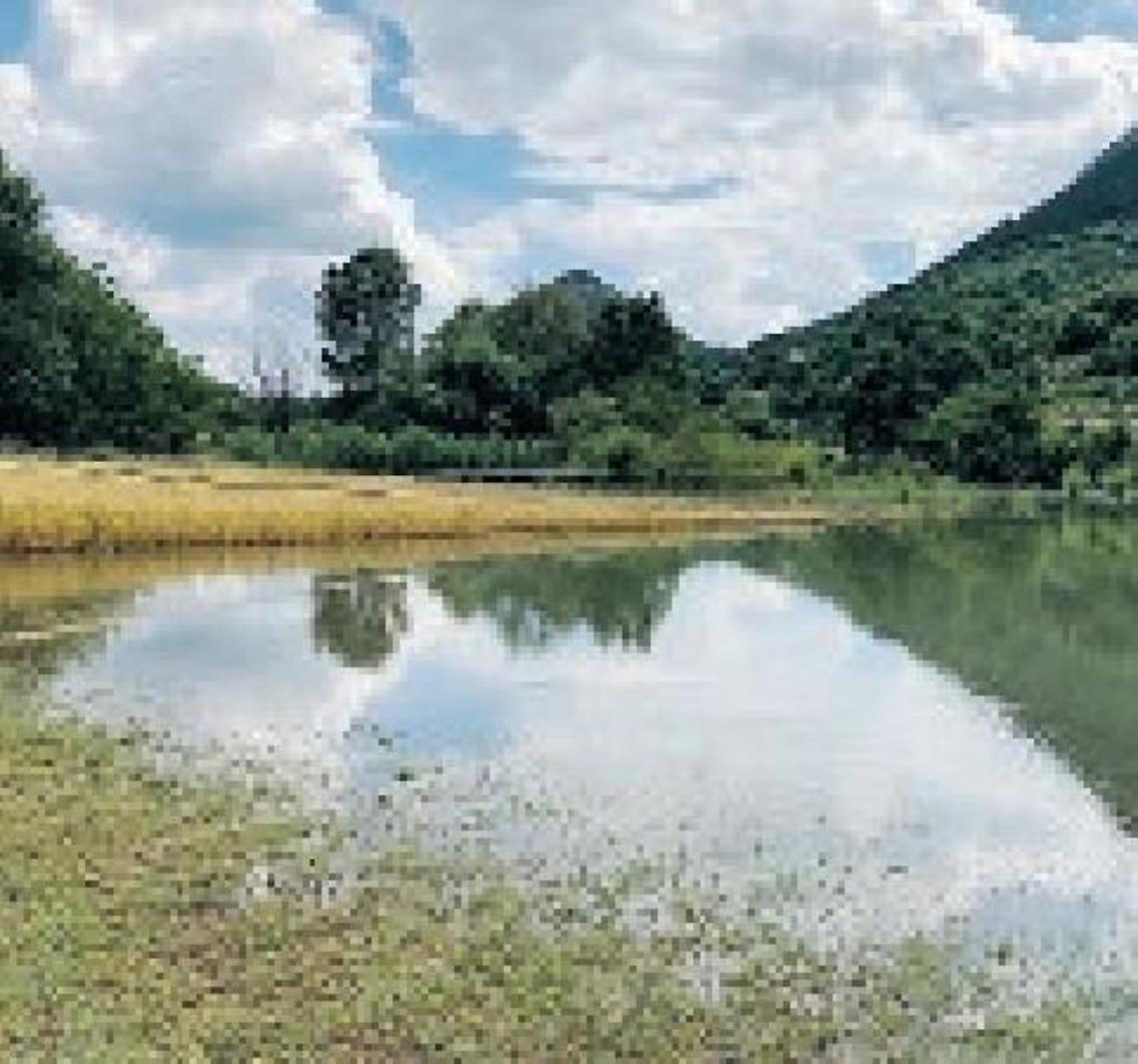 Terreno sommerso dall'acqua si trasforma in "spiaggia": la rabbia dei residenti
