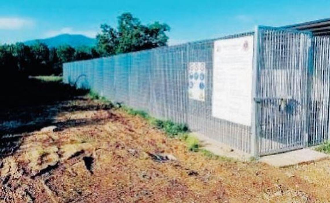 Ceprano, apertura del canile comunale: si cerca chi lo gestirà