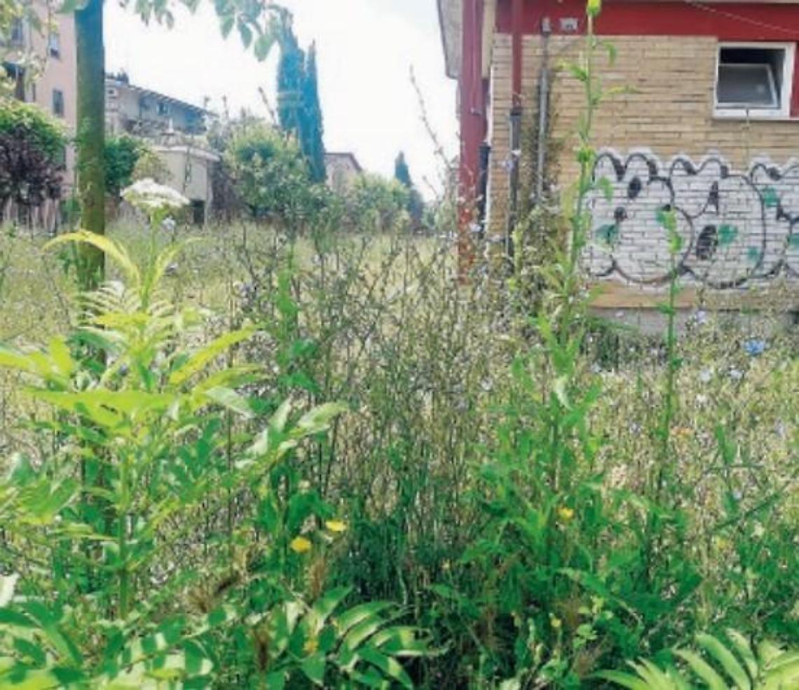 Post lockdown, scuole chiuse e il degrado avanza: genitori chiedono interventi