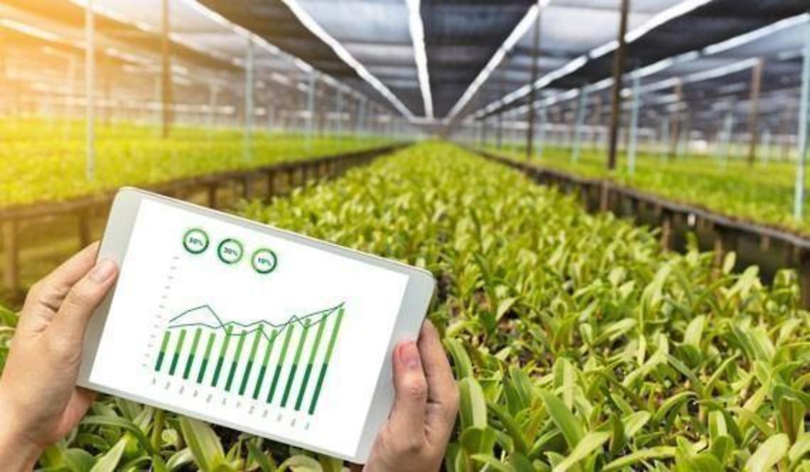 Danni milionari alle aziende agricole per il lockdown: l'allarme