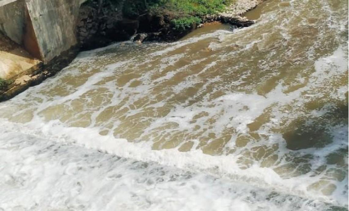 Moria di pesci nel fiume Liri: torna l'allarme per la schiuma bianca
