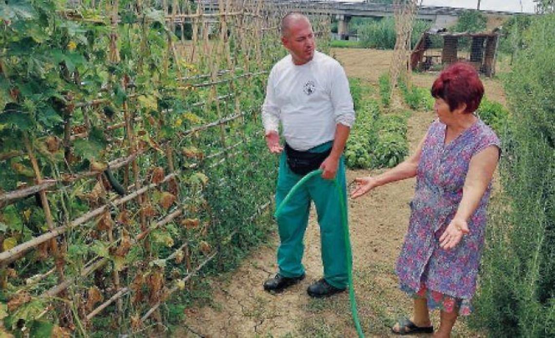 Liri, schiumate e moria di pesci: gli agricoltori tremano. Timori per i raccolti