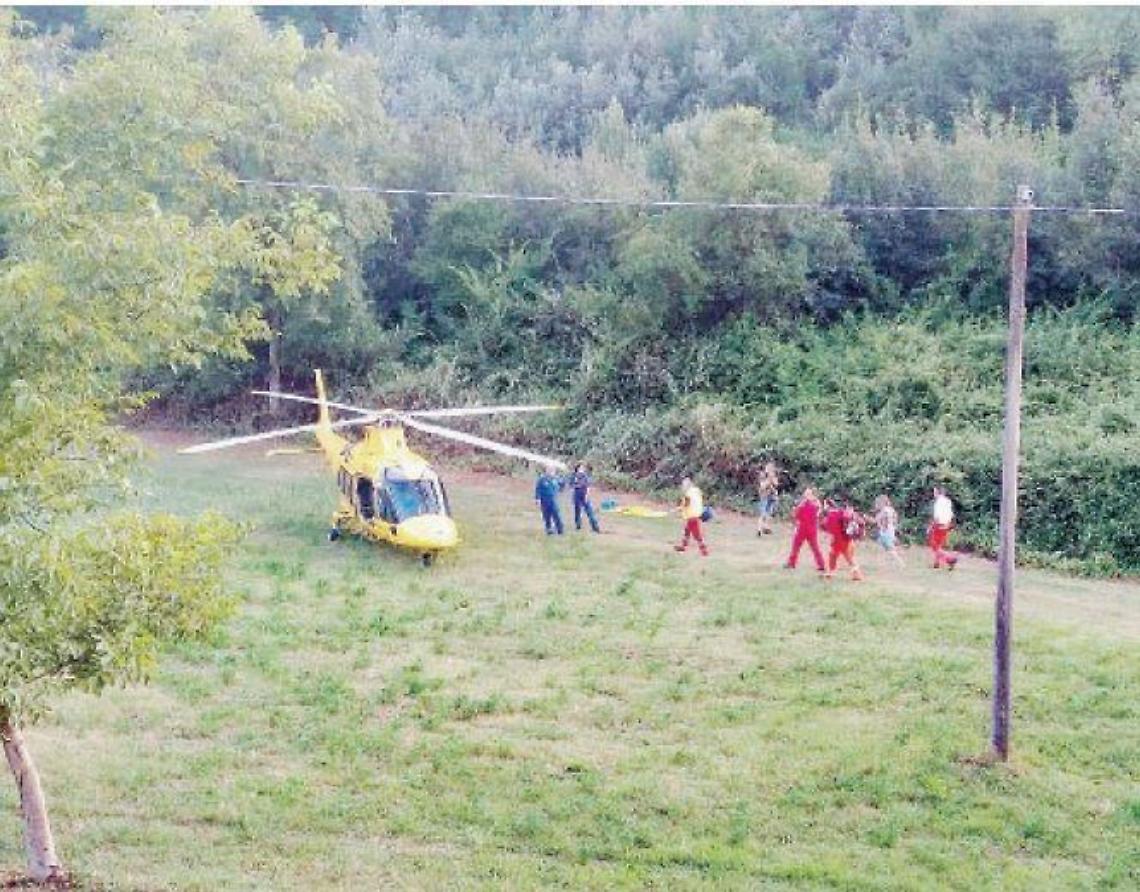 Bimba di cinque anni azzannata dal suo cane: elitrasportata