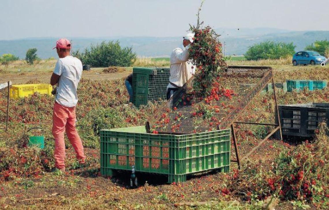 Diverbio con immigrati, il soldato: "Nessun odio razziale. Un richiamo alle regole"