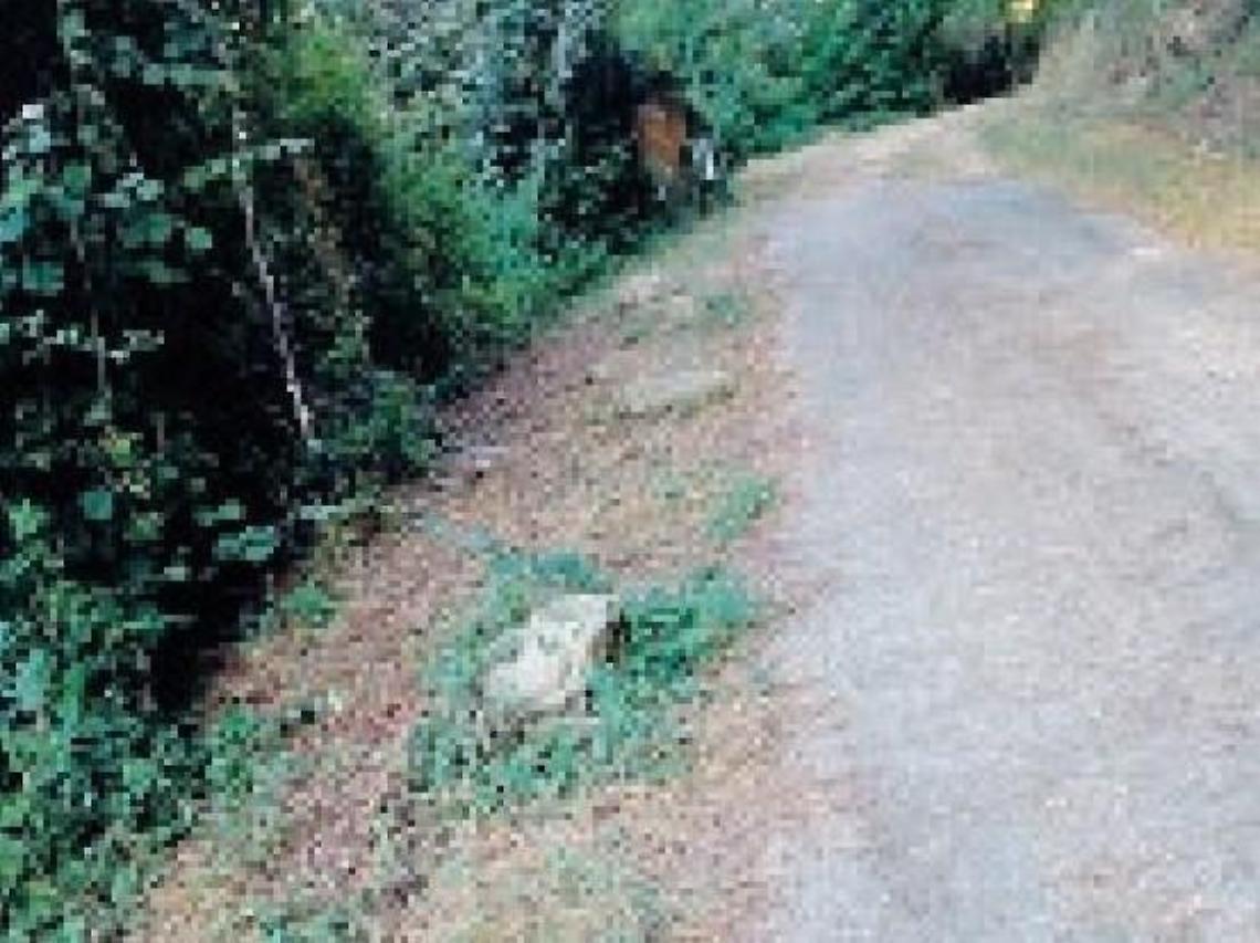 Strada da sistemare e bonifica da avviare: chiesta la messa in sicurezza