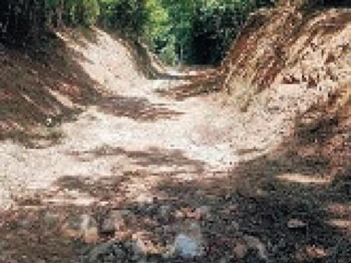 Viabilità rurale: al via i primi interventi di sistemazione