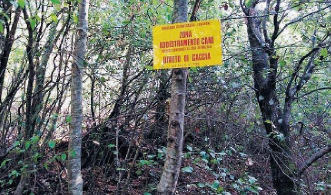 Sul monte Asprano nasce la Zona Addestramento Cani: una vera occasione