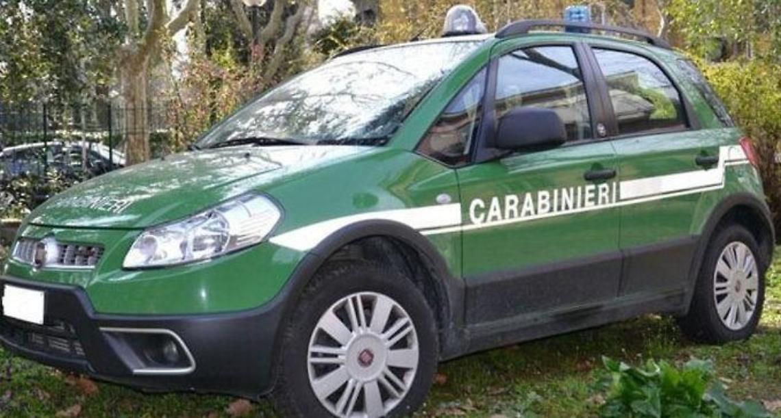 Bar-ristorante in pessime condizioni igienico-sanitarie: scatta la chiusura