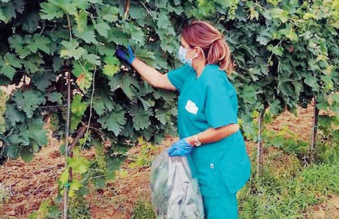 Incendio all'Eureka: accertamenti pure sui fiumi. Attesa per gli esiti