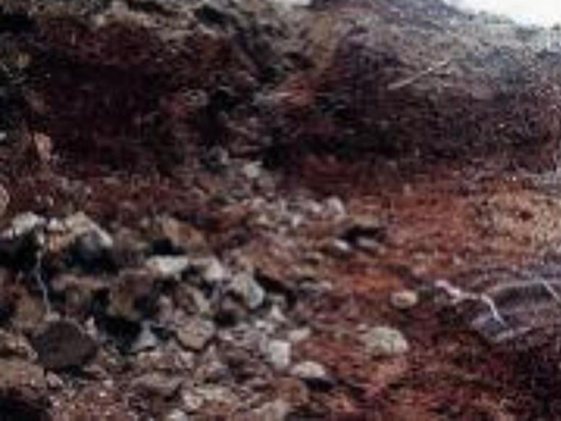 Alatri, lavori all'esterno della scuola “Ceci": tubo tranciato e famiglie senza acqua