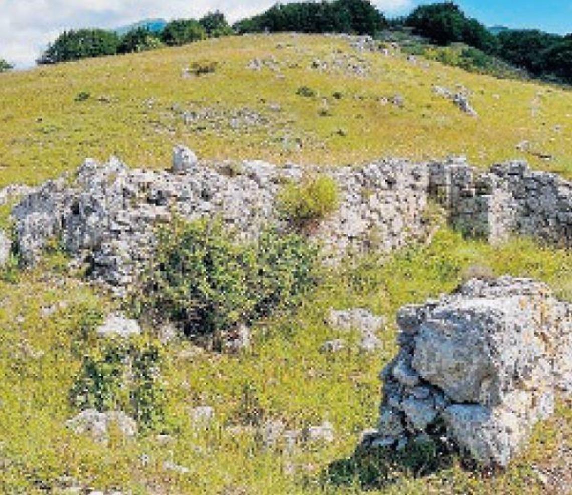 Alla scoperta della storia con gli amici... dell'orso. Il programma