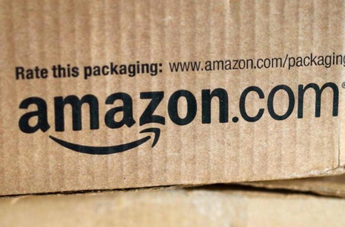 Il gigante ecosostenibile, inizia l'era di Amazon: una speranza per il territorio
