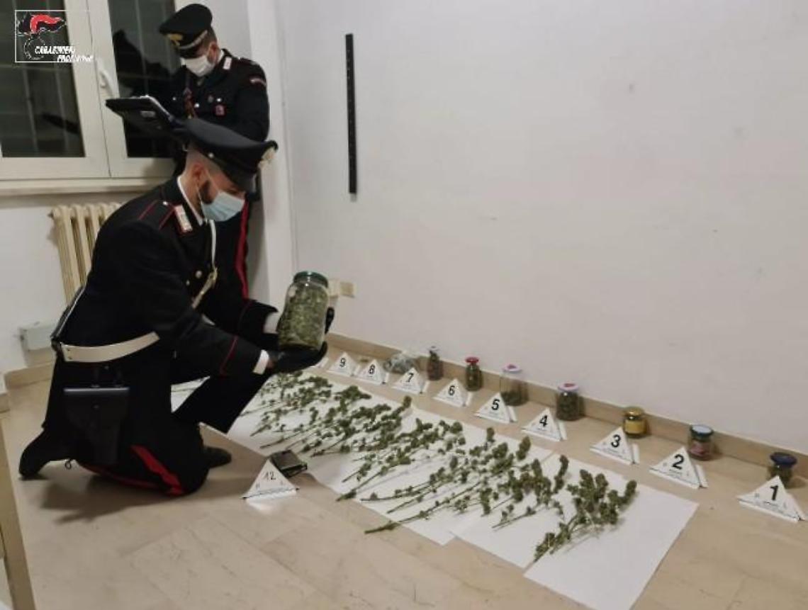 Marijuana nascosta in casa in barattoli di vetro: pusher 39enne in manette