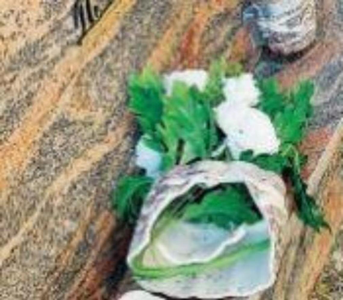 I vandali si accaniscono sulla tomba di famiglia: scatta un'altra denuncia