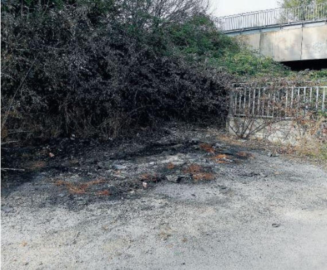 Pontecorvo, rifiuti abbandonati e automobile incendiata. Si indaga