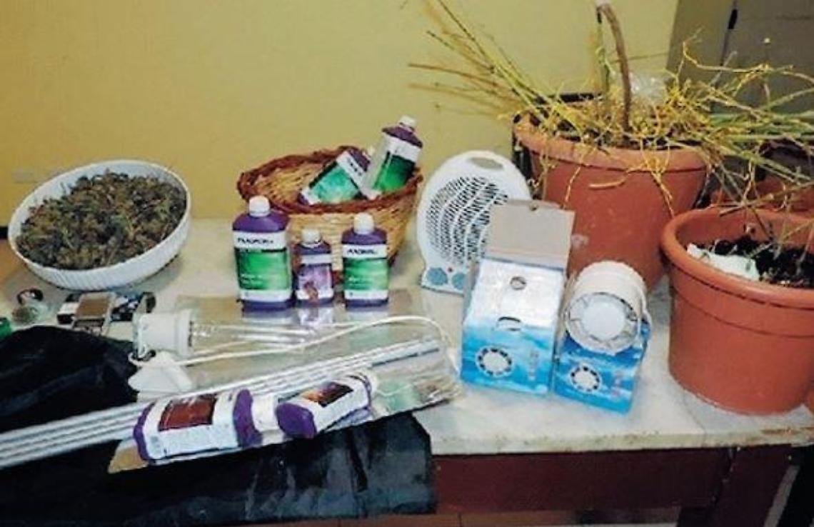 Piantagione in casa, beccato con oltre 3 etti di marijuana: 19enne nei guai