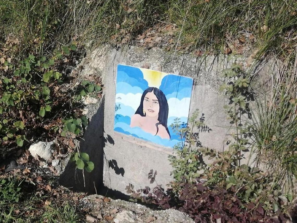 Un dipinto per ricordare la dolce Stella Tatangelo, la famiglia cerca l'autore