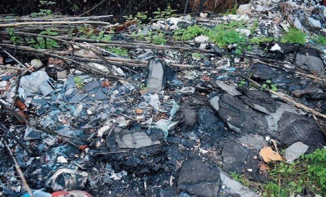 Carcasse di pecore lungo la strada, scatta l'sos. Paura per le cause del decesso