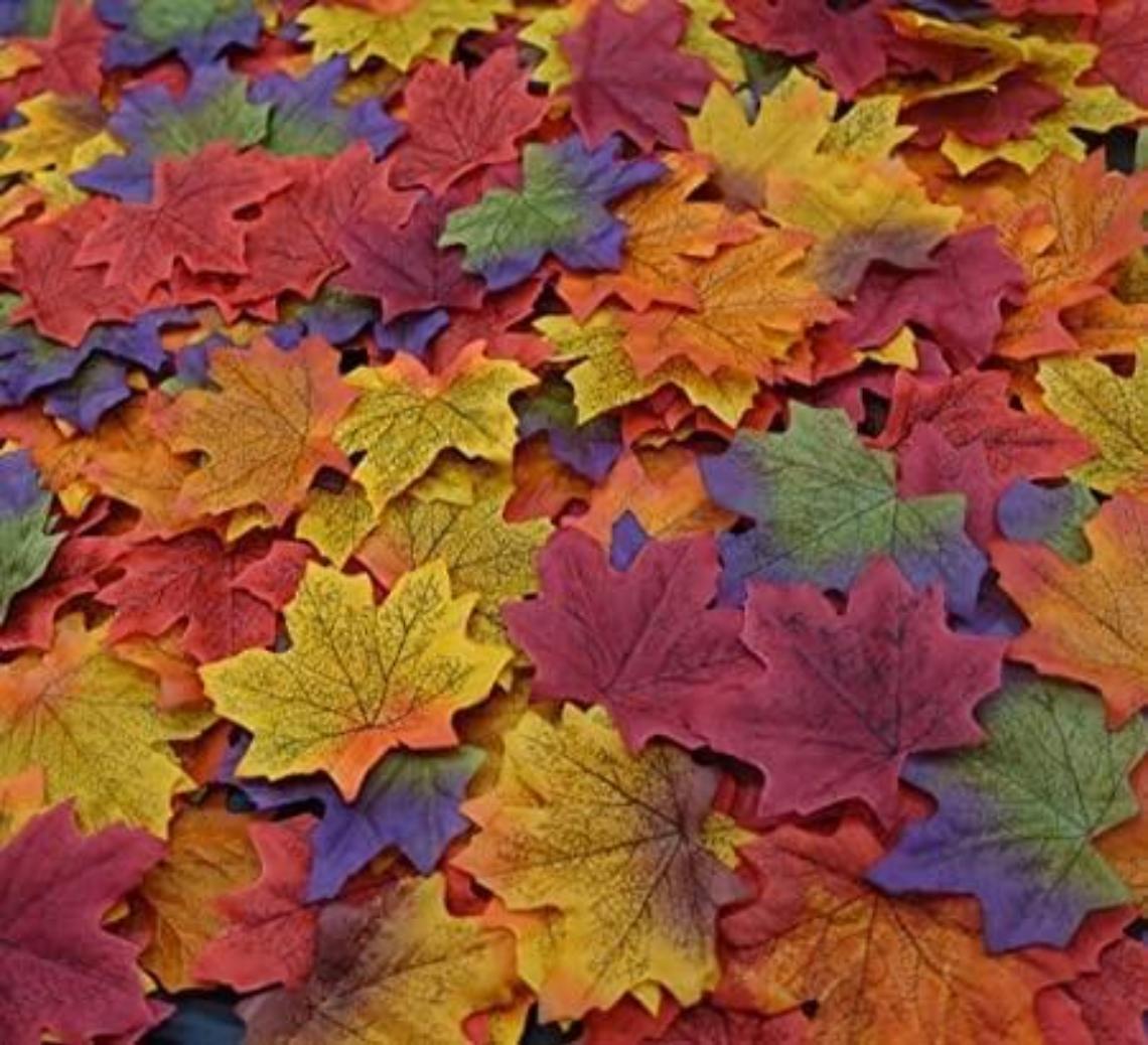Si sta come d'autunno sugli alberi le foglie: un libro lungo una stagione