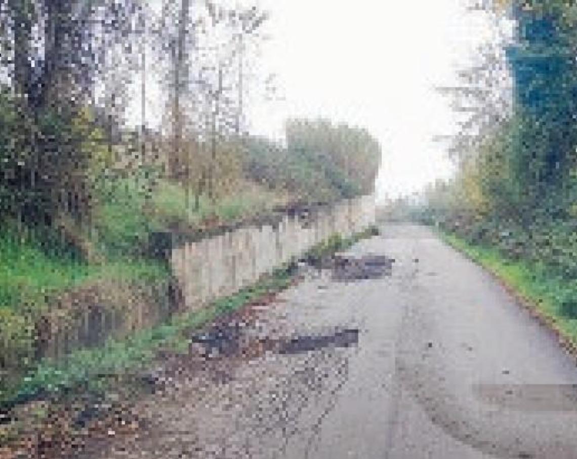 Strada dissestata, pericolosa e ricettacolo di rifiuti: i residenti protestano