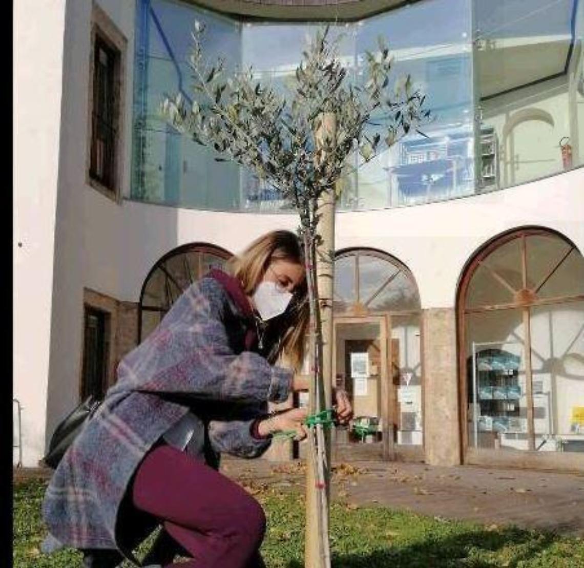 Isola del Liri: "Giornata dell'albero": presto nuove piante e un'aiuola